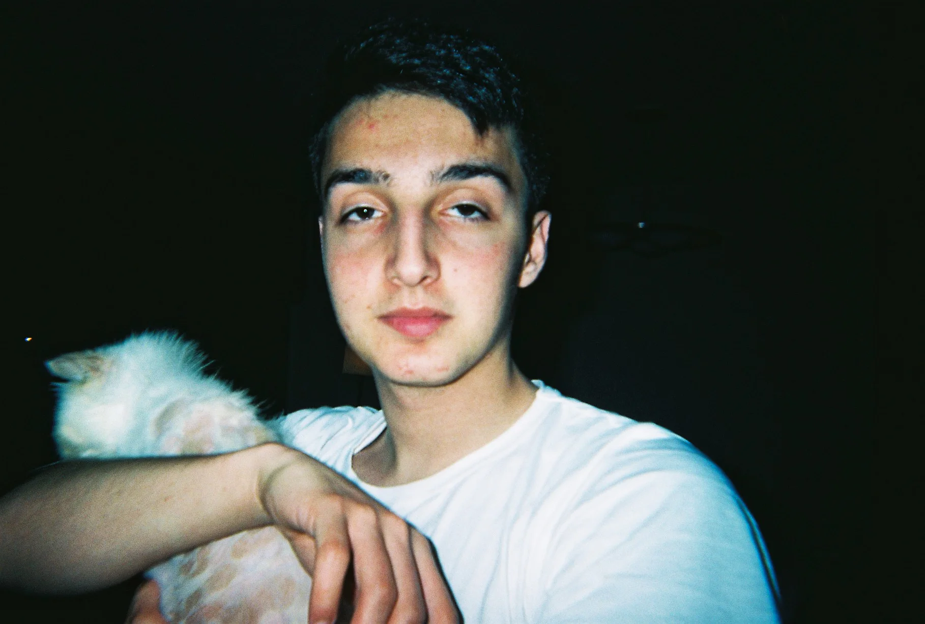 unprepared with cat, Istanbul