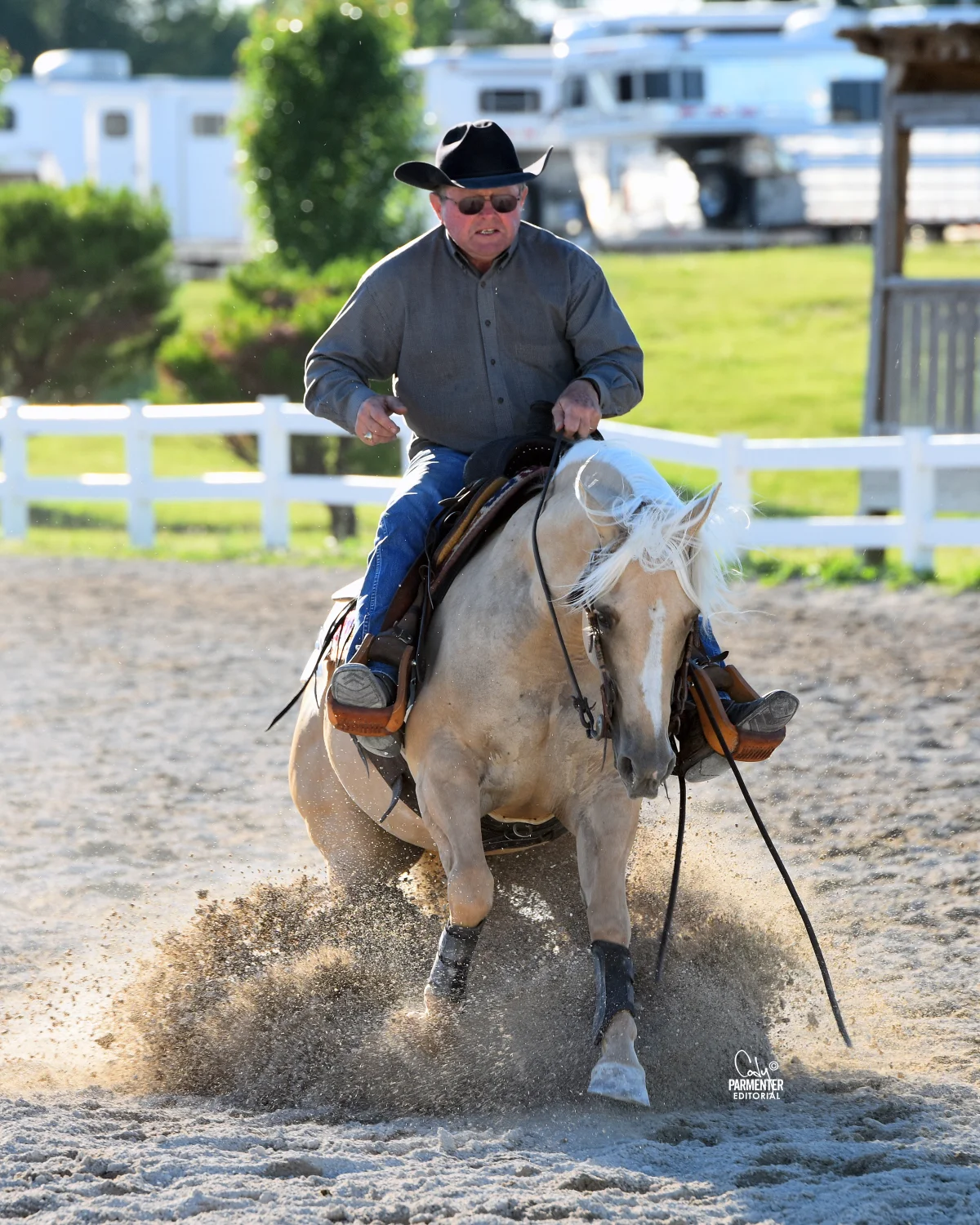 GW17-6380-REINING.jpg