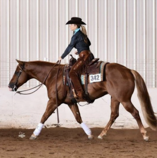 Member Spotlight: Melinda Maxson