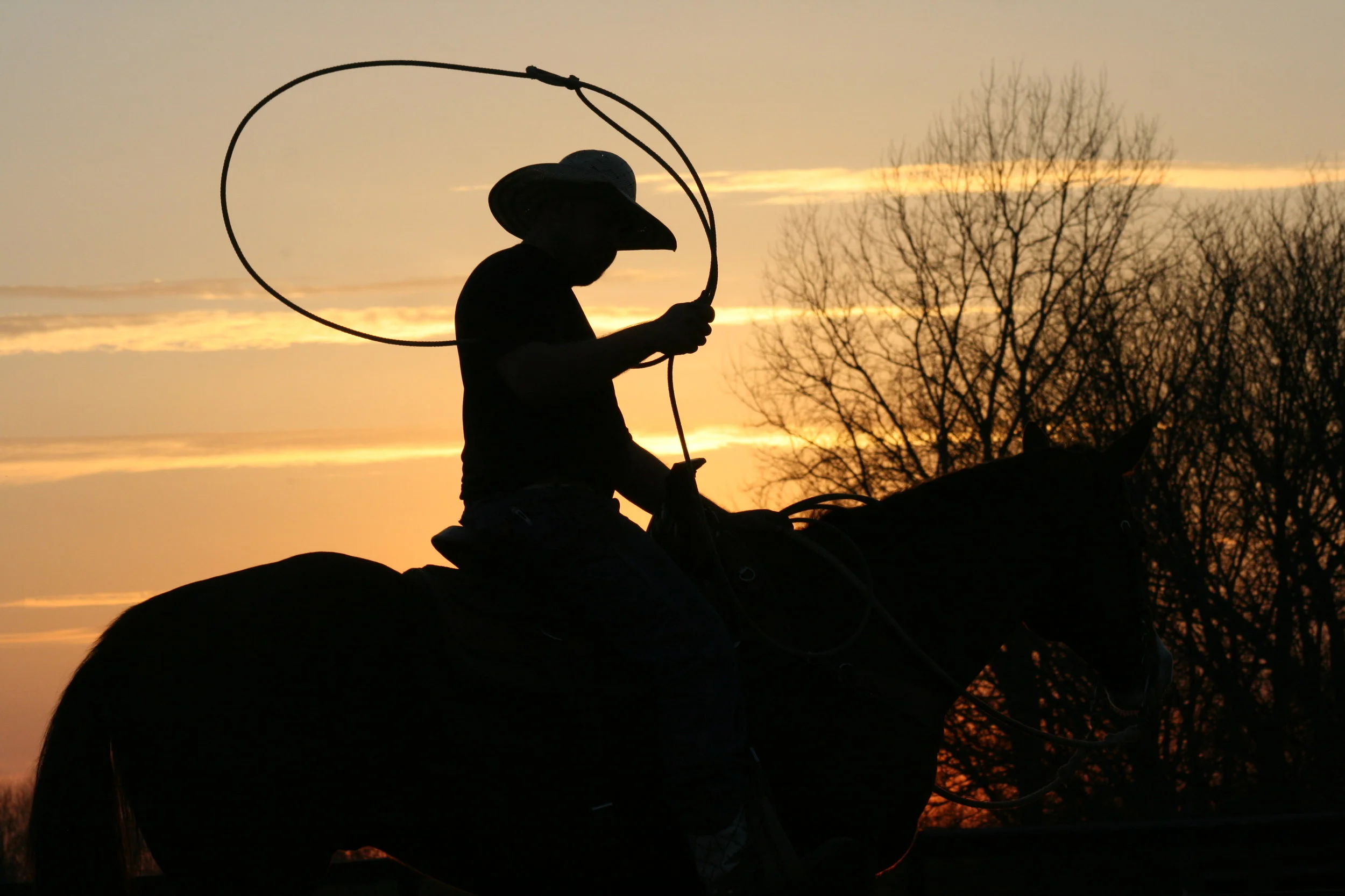 Trainer Spotlight: PJ and Sabrina Seaboldt