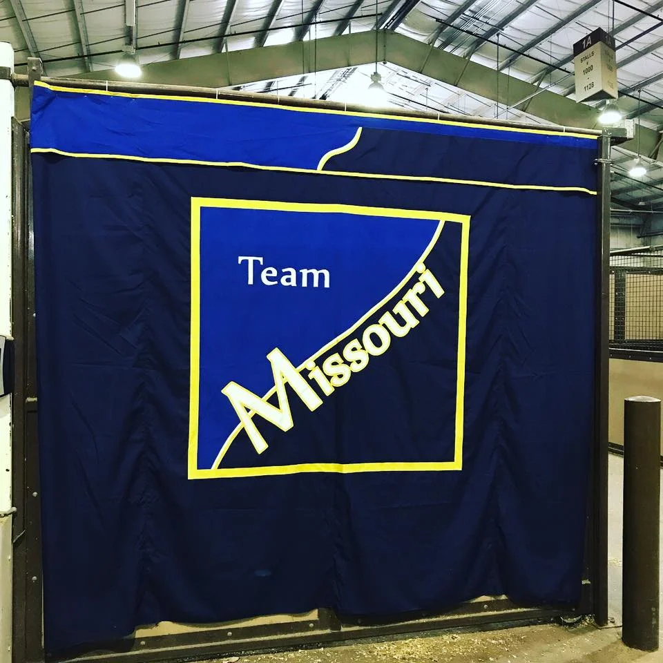 Team MQHYA is AQHYA World Show bound!