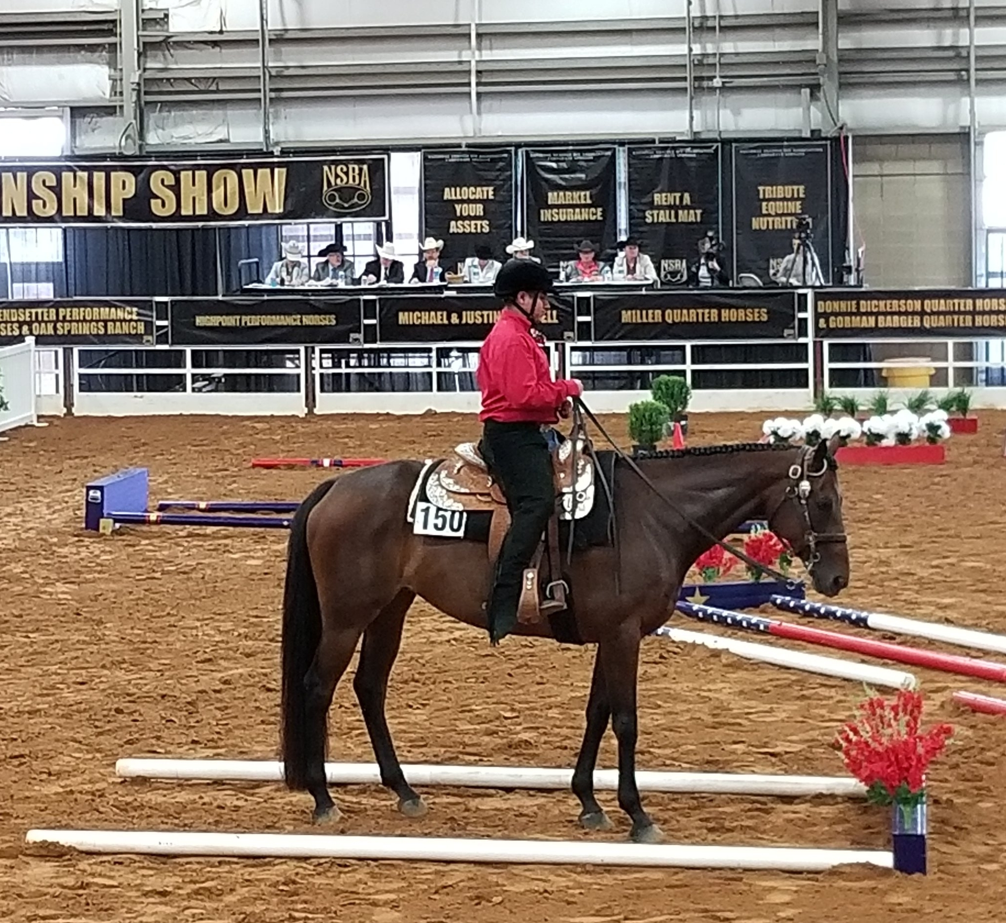 Member Spotlight: Robert Castellitto