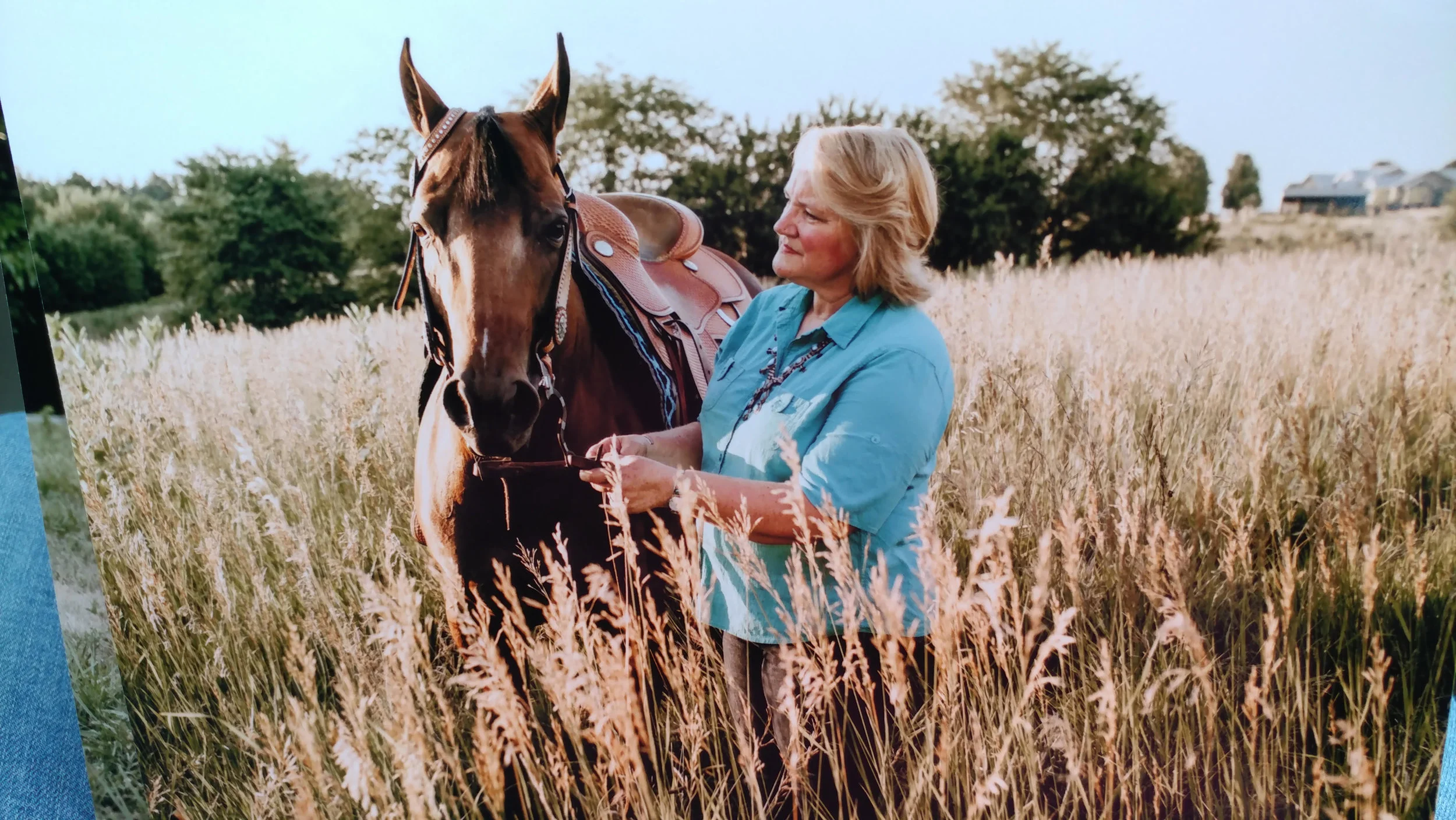 MQHA Member Spotlight: Linda Weber