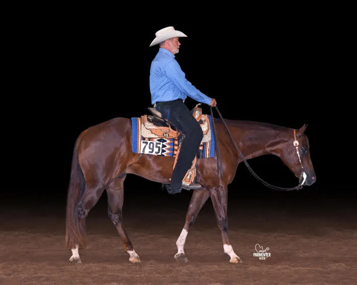 MQHA Member Spotlight: Bill Page