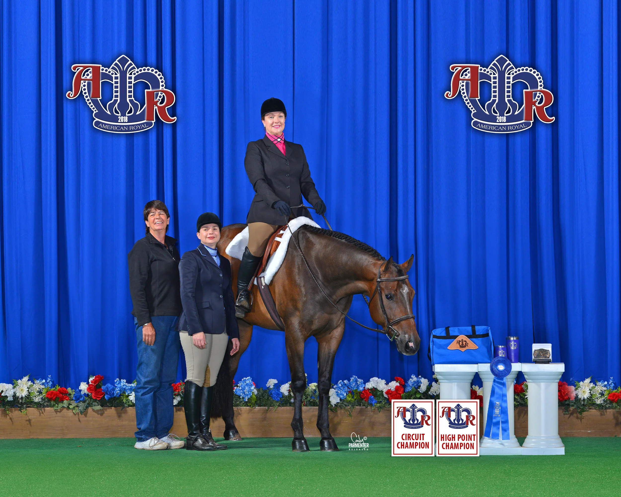 MQHA Member Spotlight: Kim Hibdon