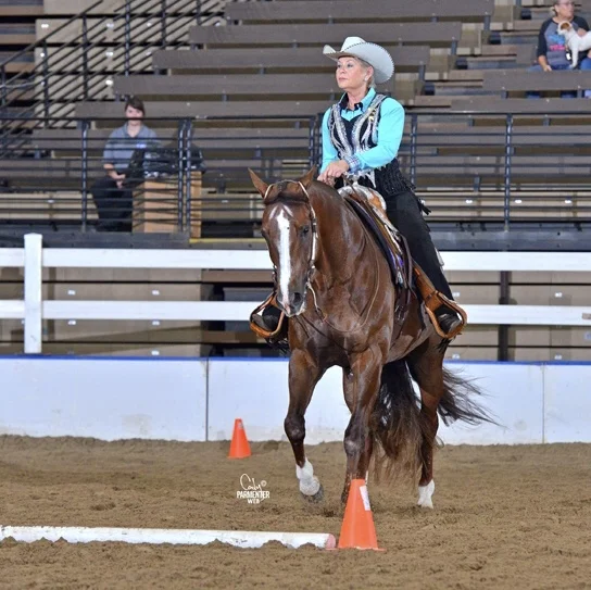 MQHA Member Spotlight: Gail Scheller