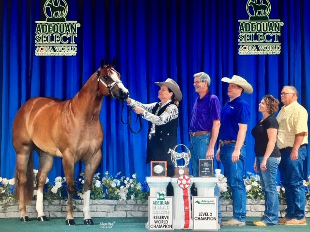 MQHA Member Spotlight: Linda Sands