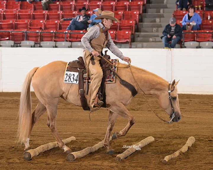 MQHA Member Spotlight: Harva Leigh Lambert