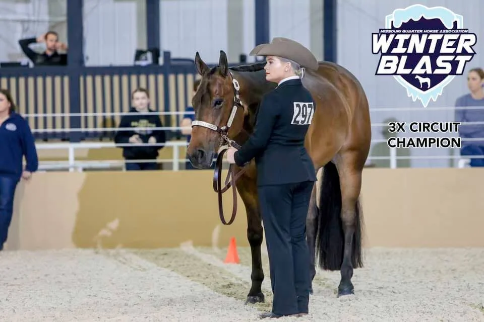 MQHA Member Spotlight: Amanda Johnson