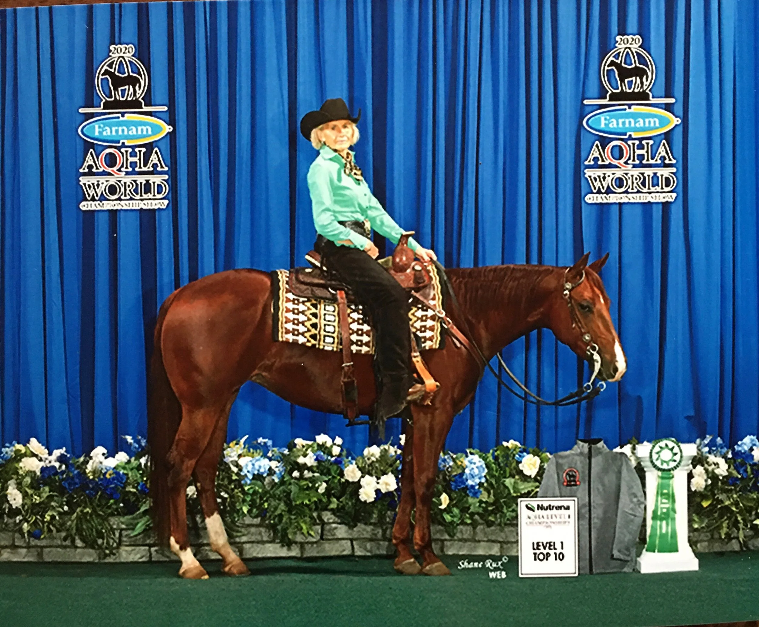 MQHA Member Spotlight: Sheryl Haviland