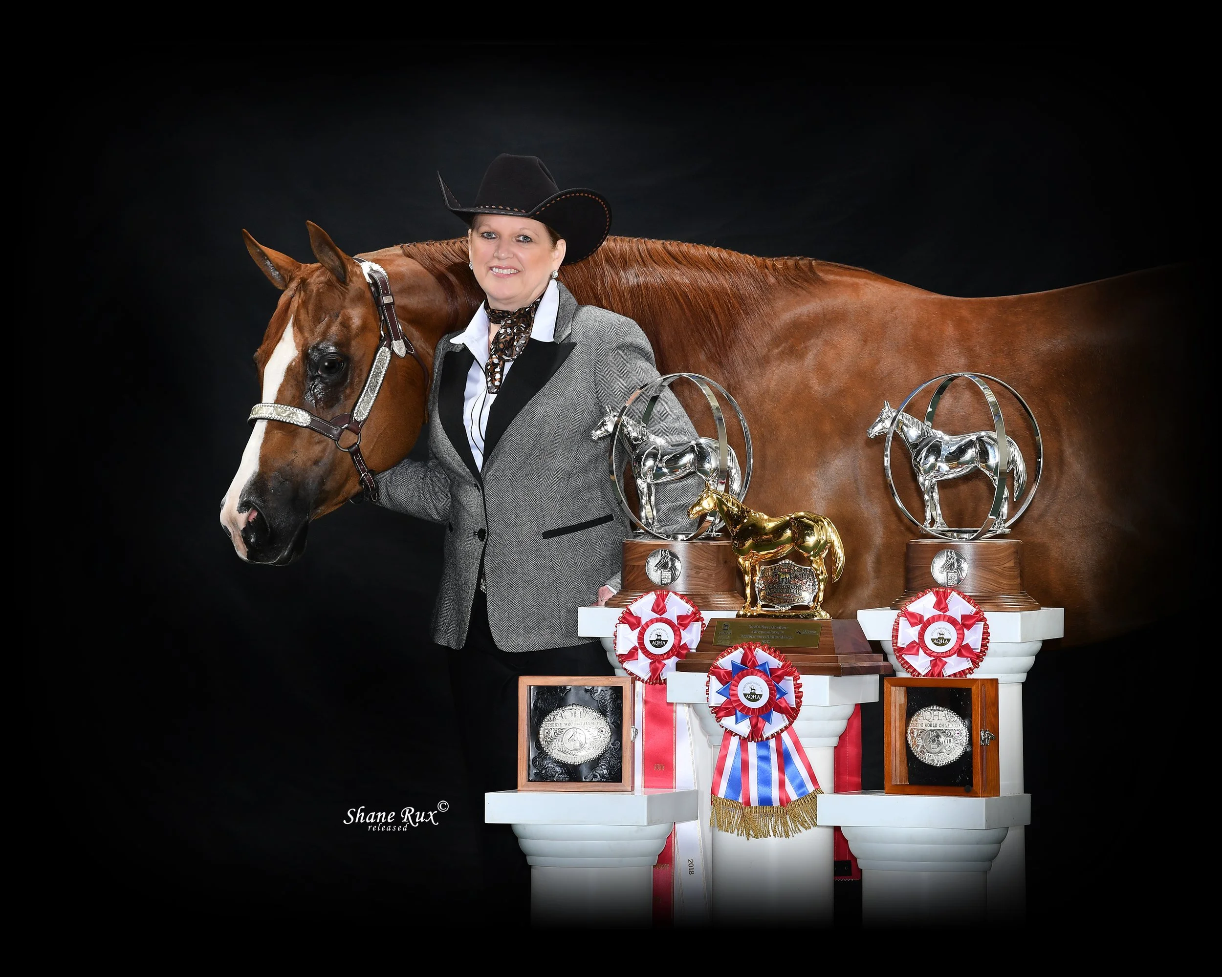 MQHA Member Spotlight: Karen Kay Martin