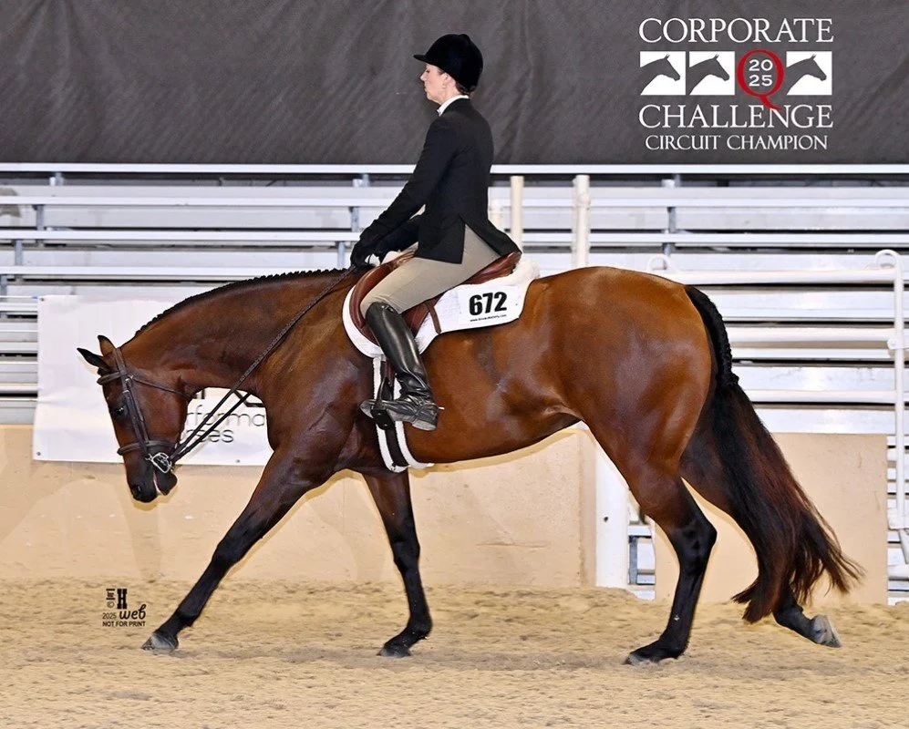 MQHA Member Spotlight: Brooke Faerber