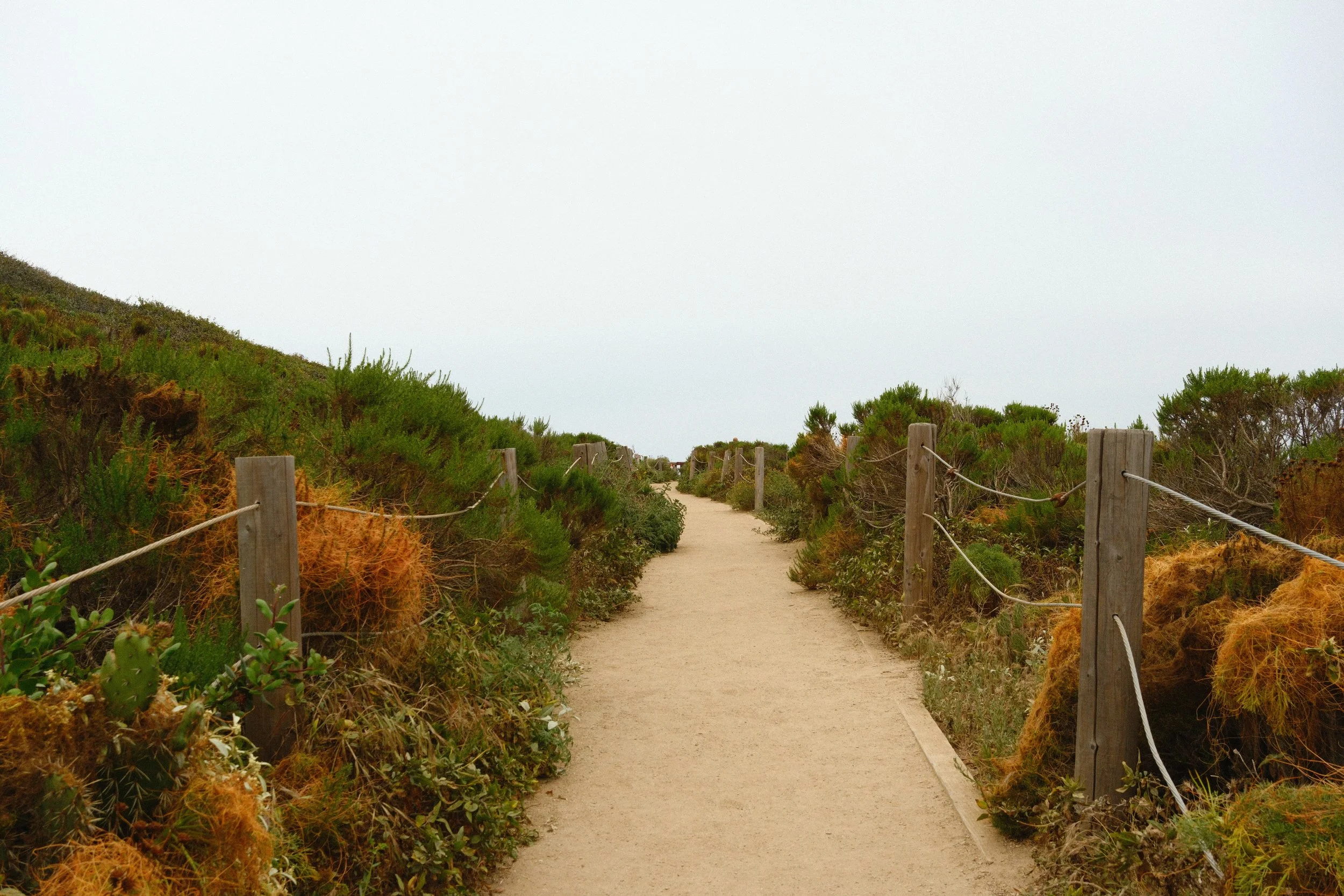 DSCF0958.JPG