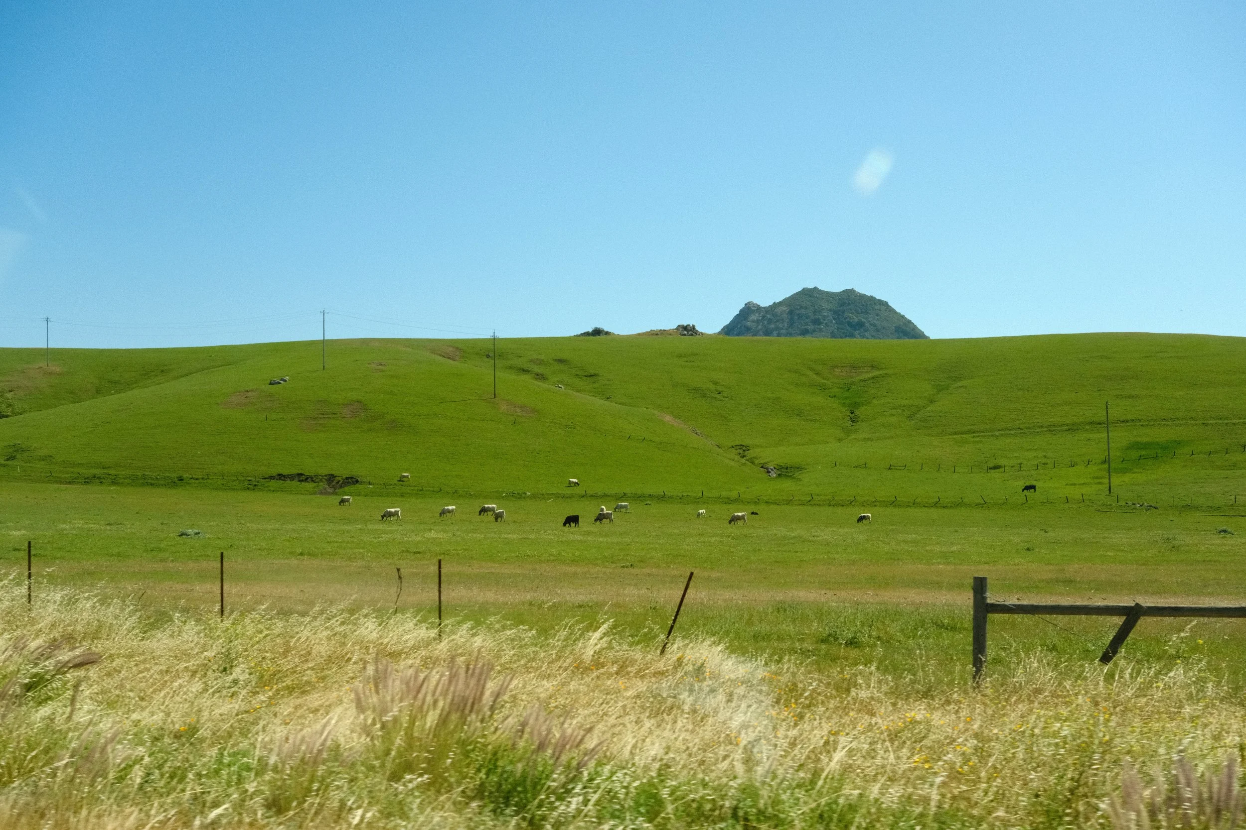DSCF0817.JPG