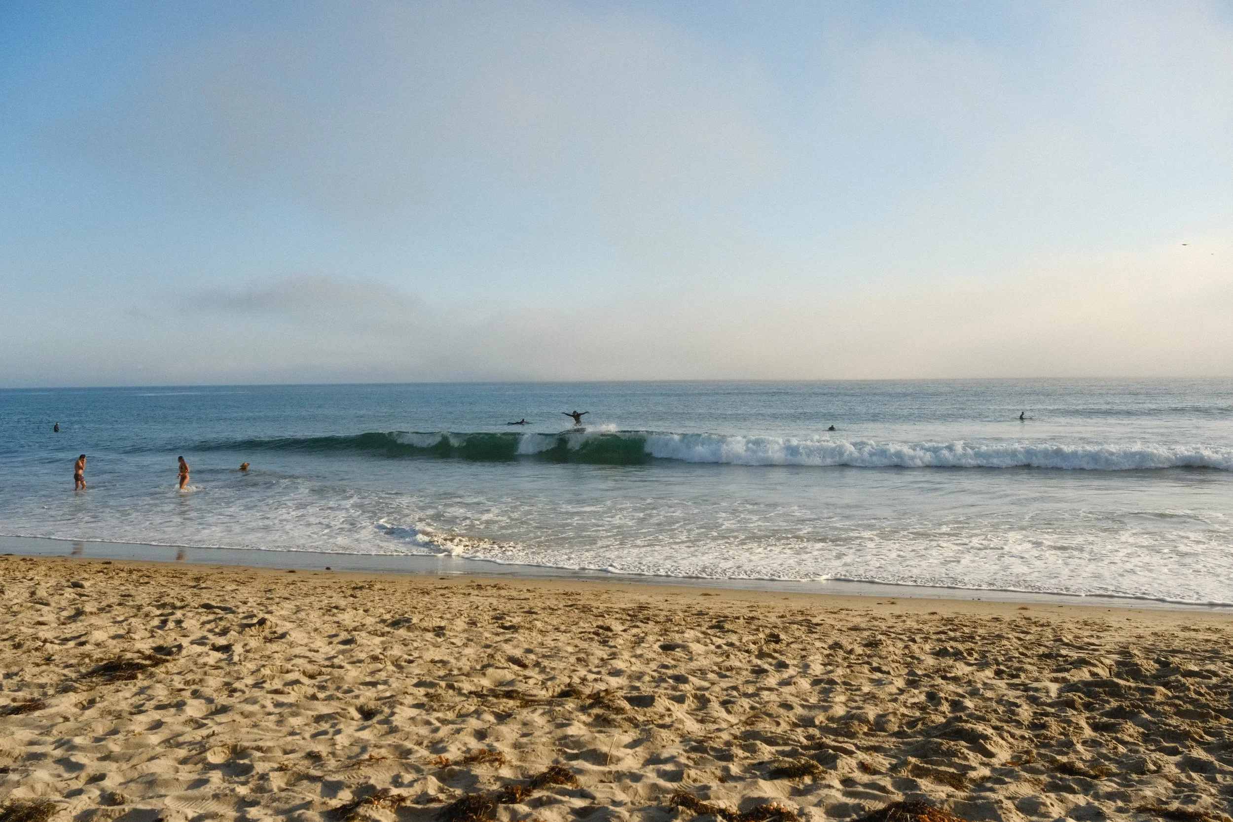 DSCF0826.JPG