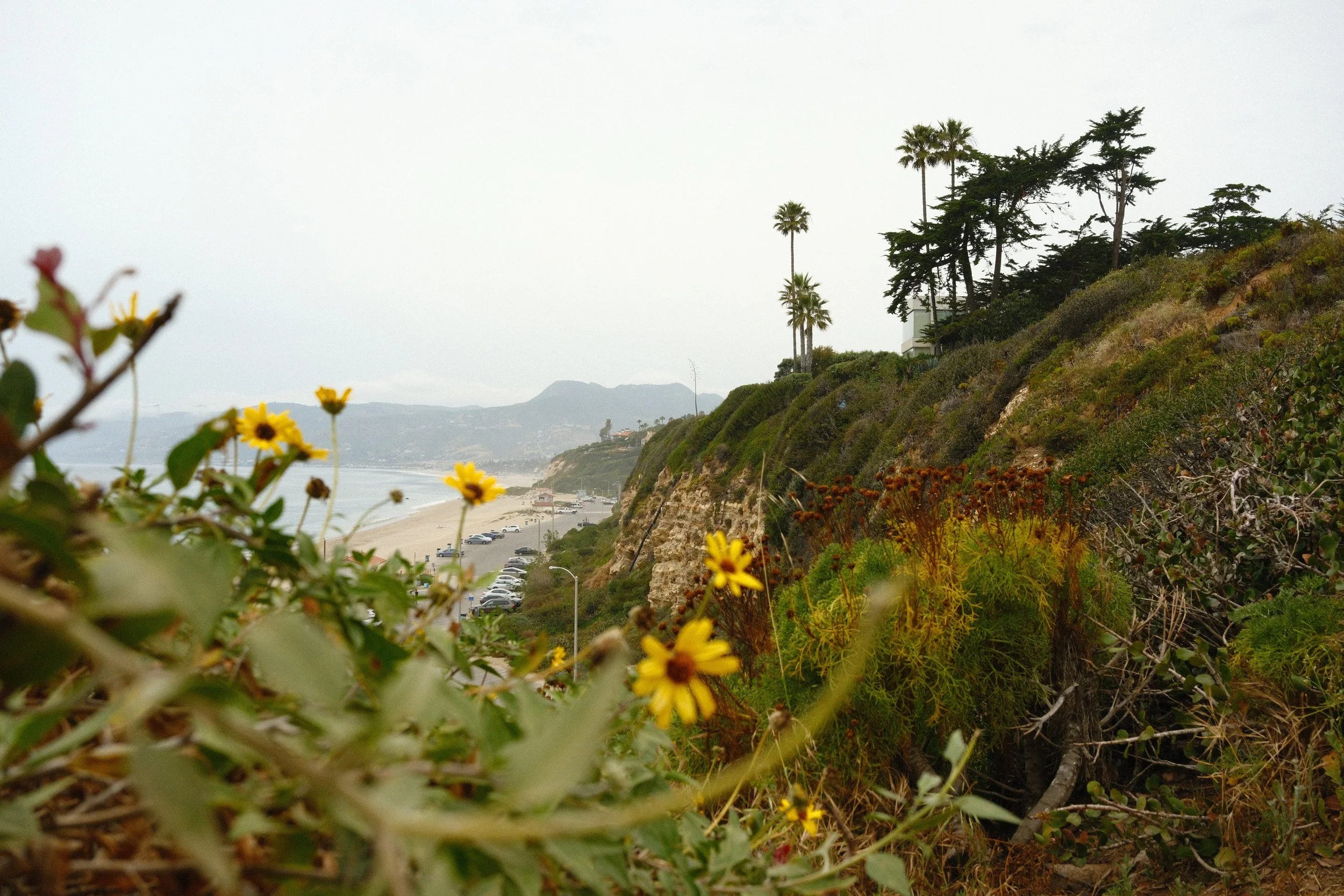 DSCF1055.JPG