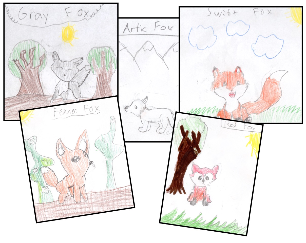 foxes-dens.jpeg