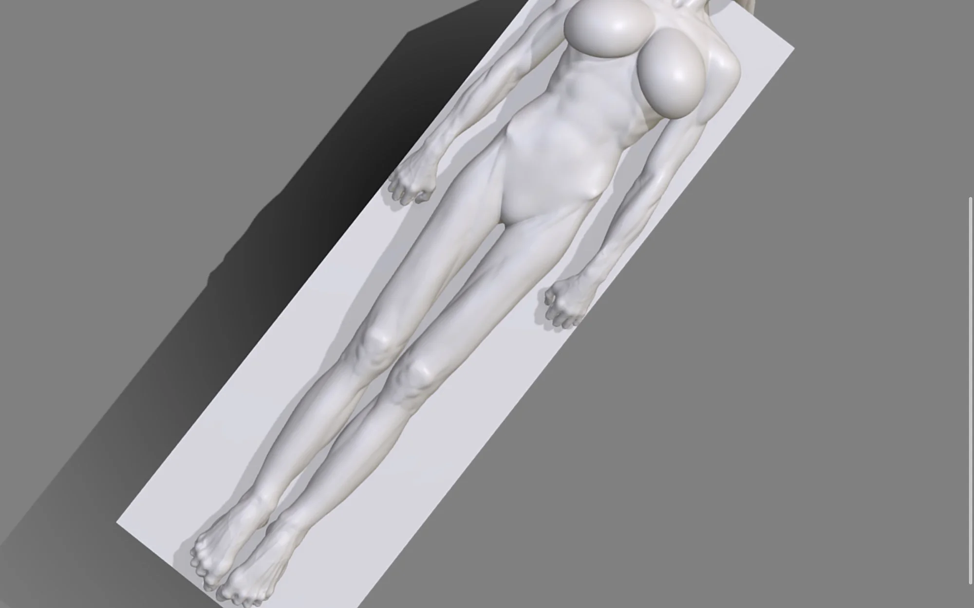 11_crop 2000px.jpg