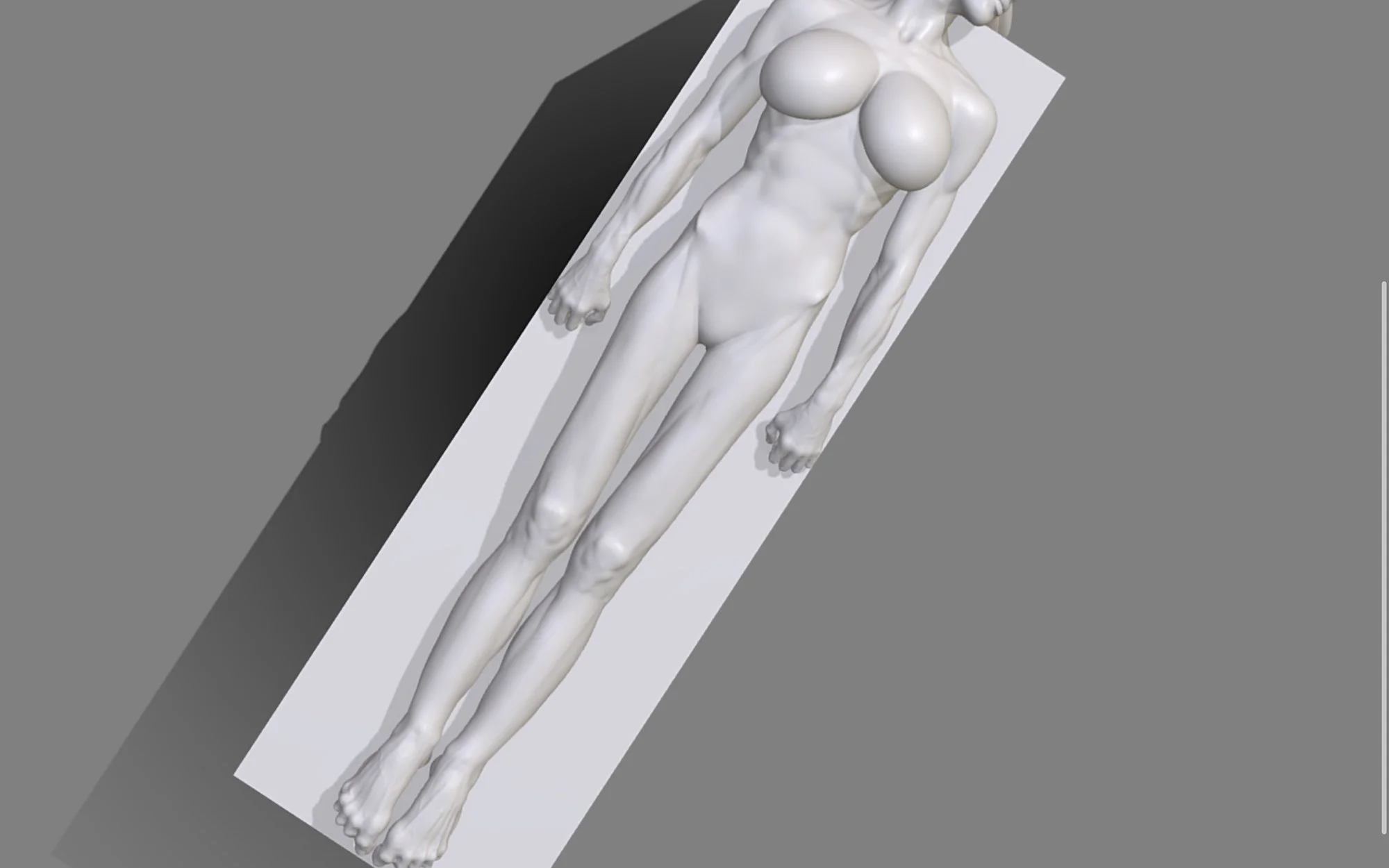 14_crop 2000px.jpg