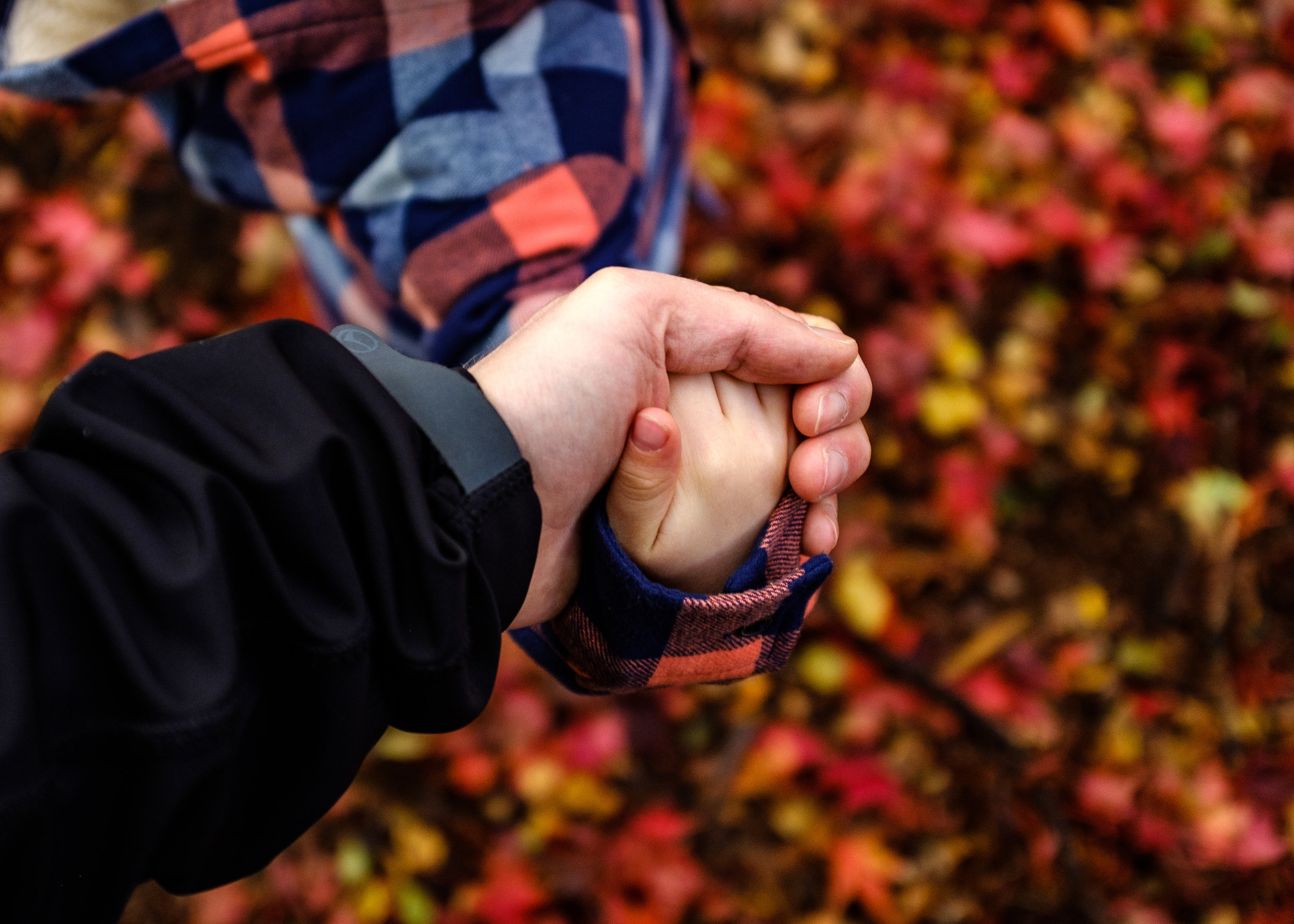 Kicking Leaves and Climbing Trees