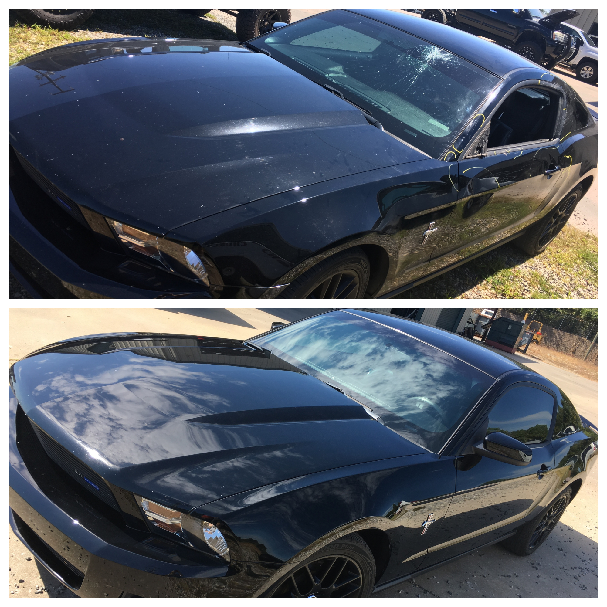Mustang Before After.jpg