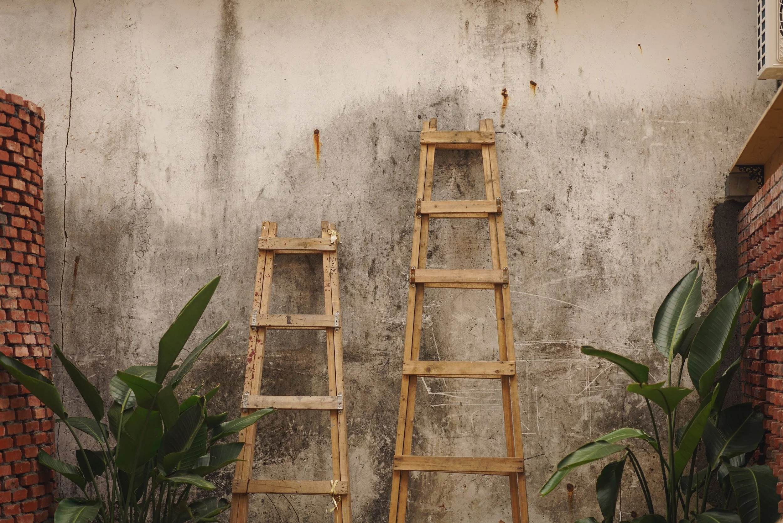 The Fear Ladder technique.jpg