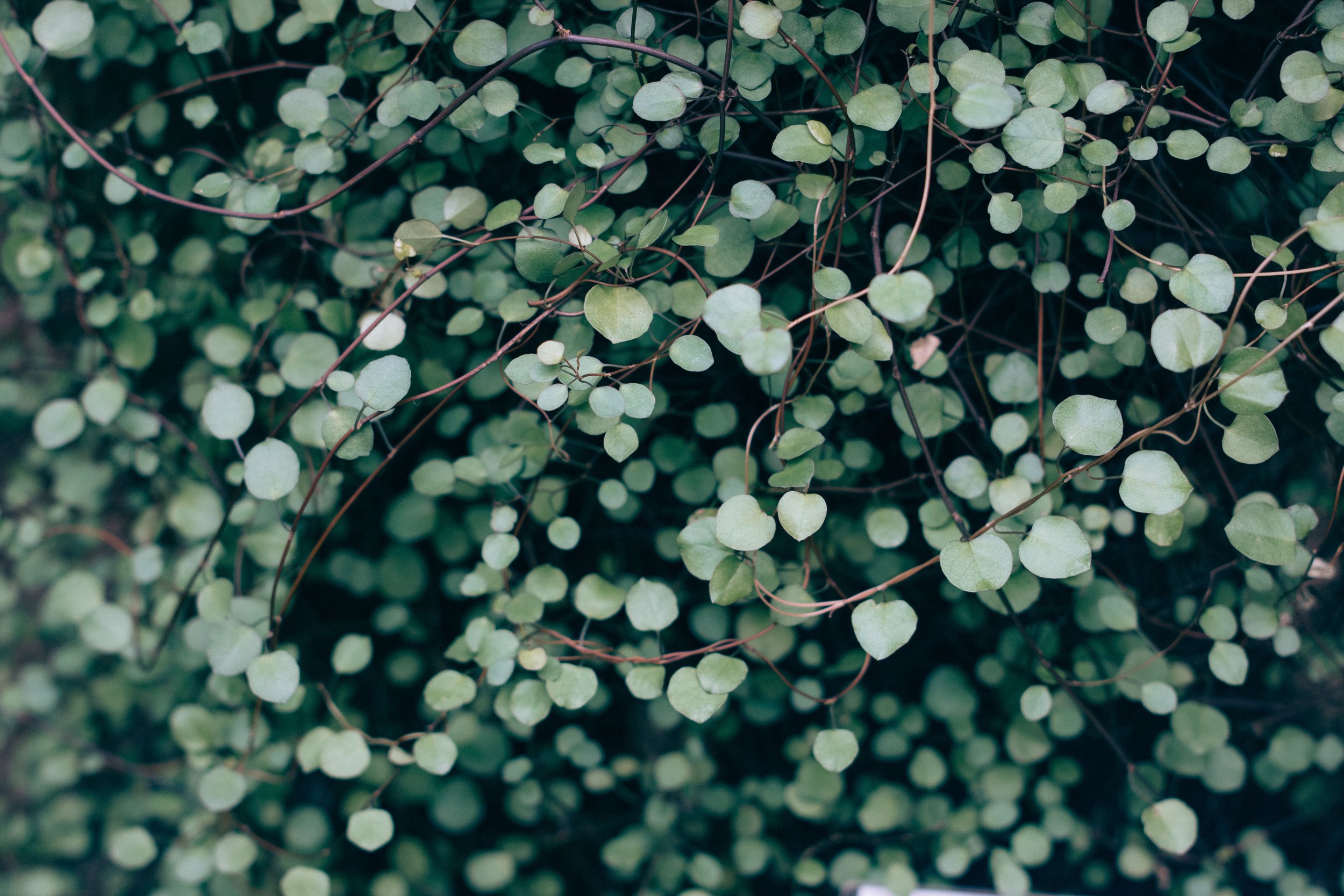 vadim-l-10940-unsplash.jpg