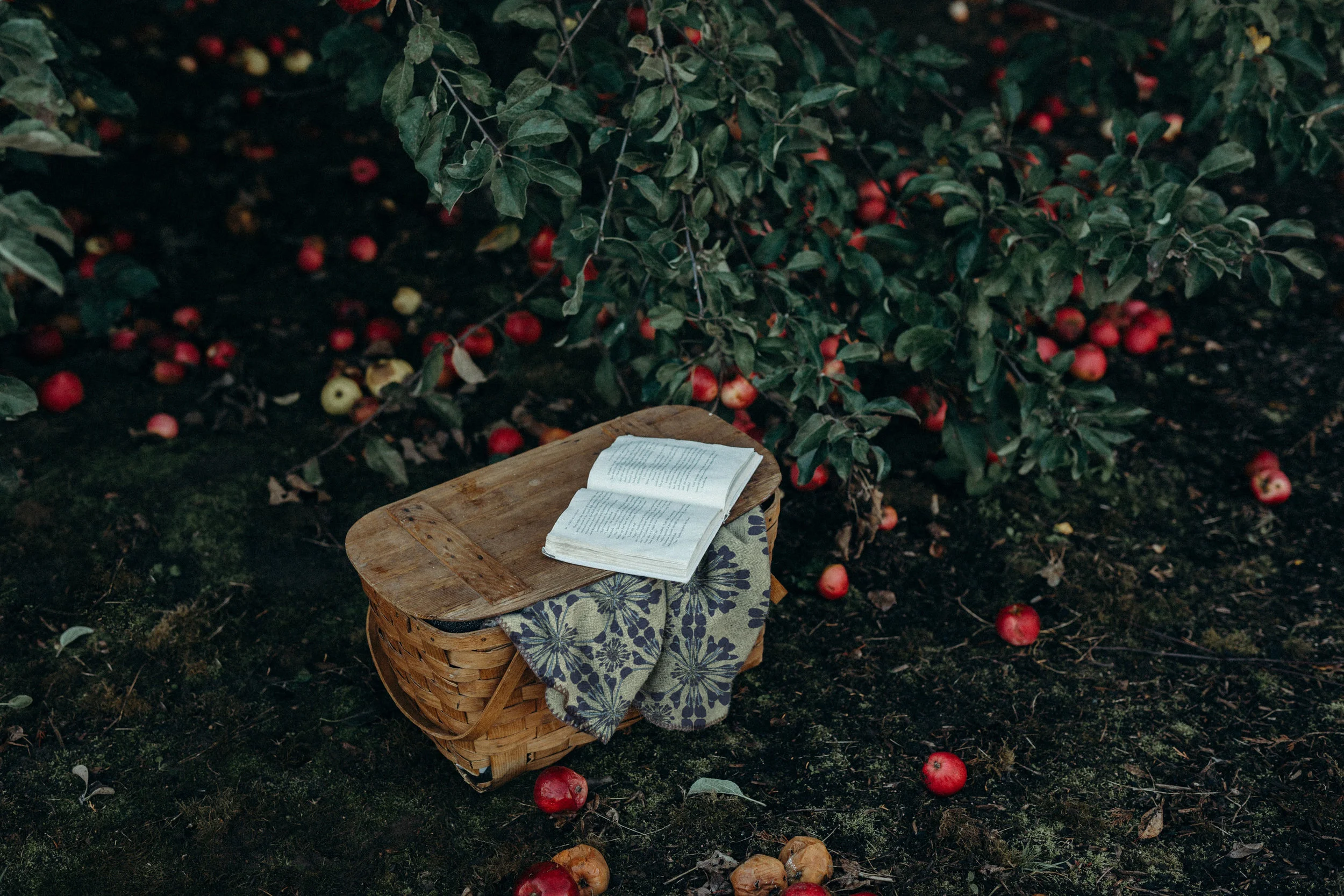 apples.jpg