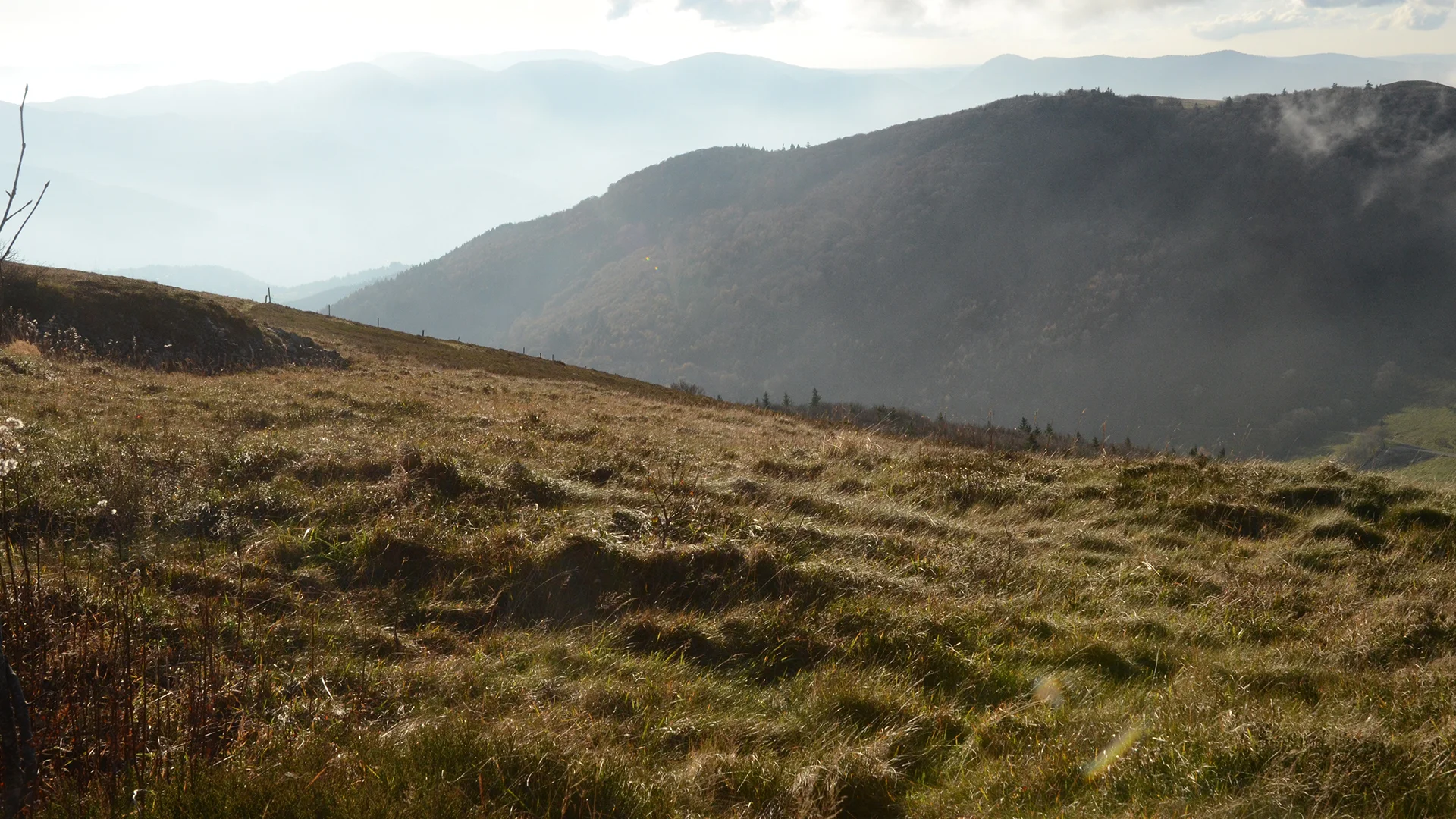 PAYSAGE-PAYSAGE-1.jpg