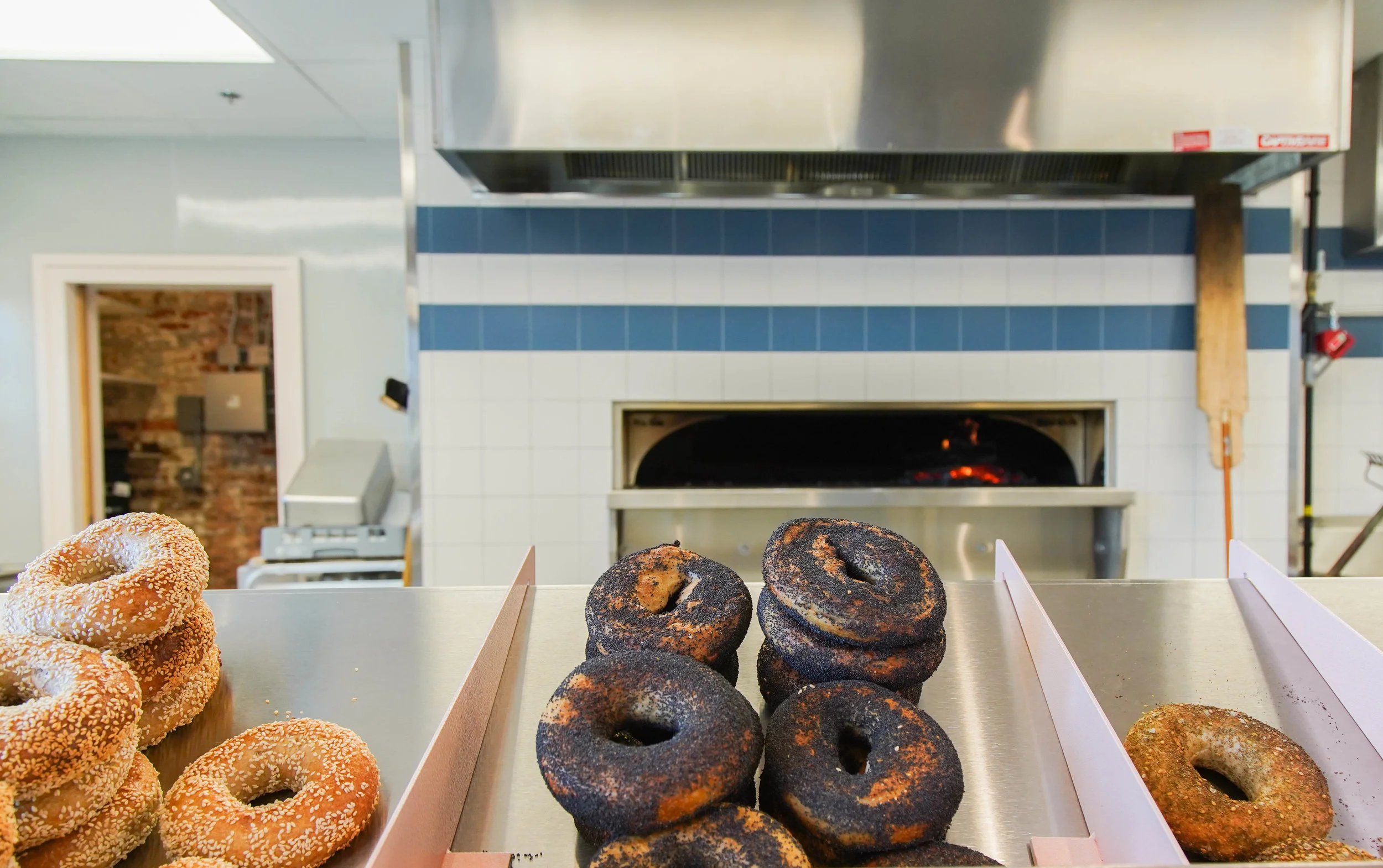 BAGEL-3.jpg