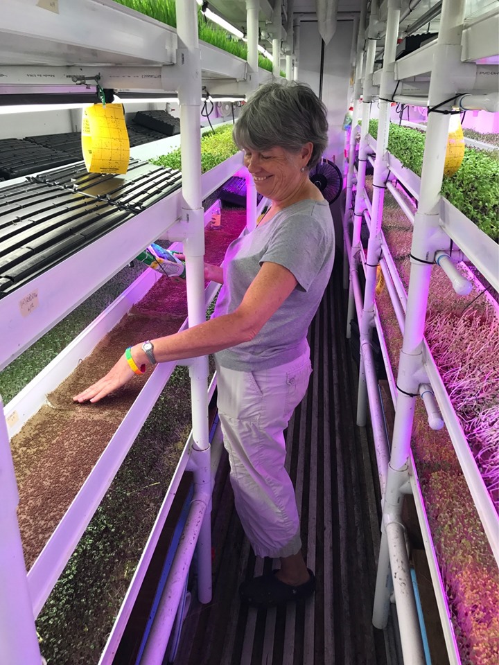 Second Saturday w/ Tami Purdue of Sweet Peas Urban Garden