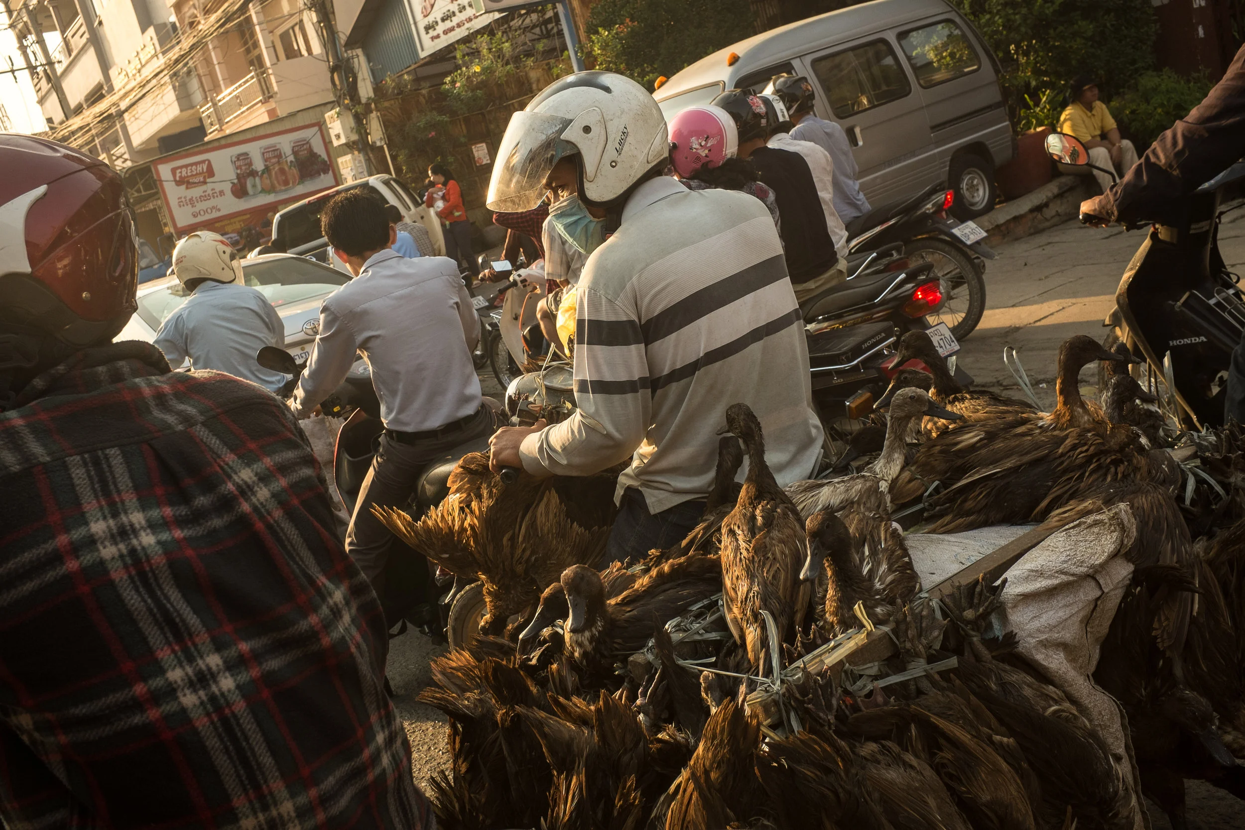 Phnom Penh, Cambodia, 2014
