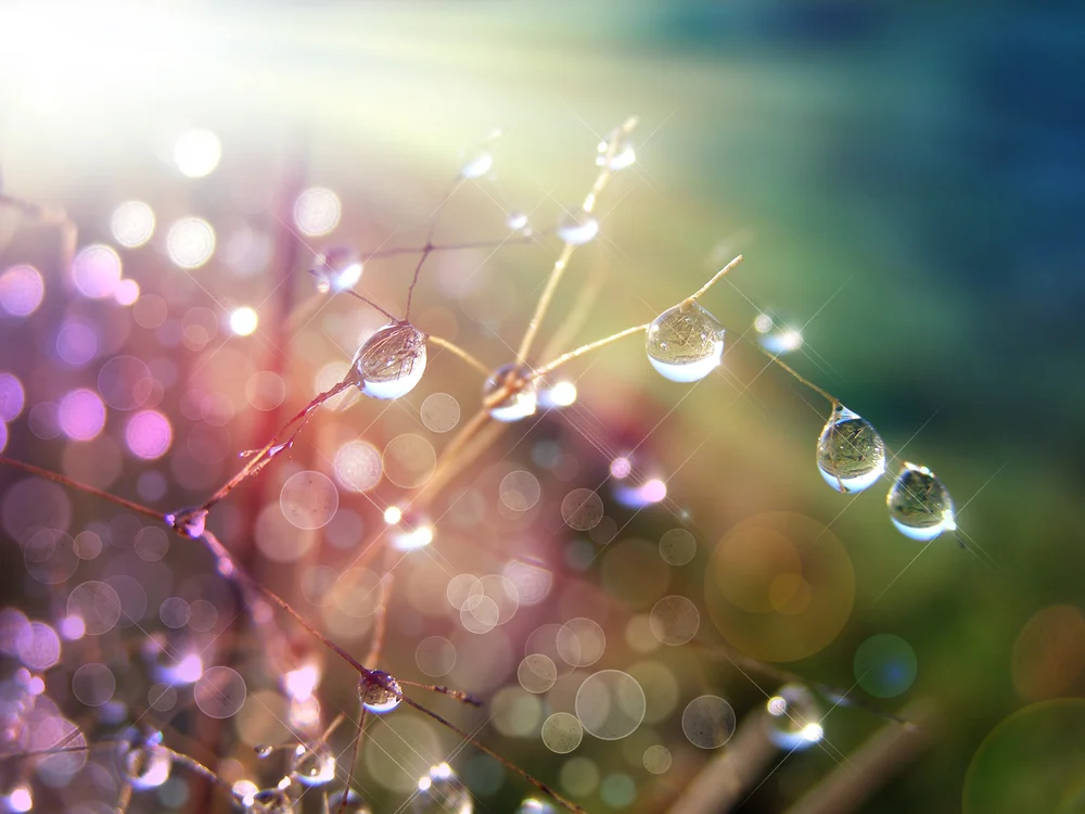 shutterstock_53180644.jpg