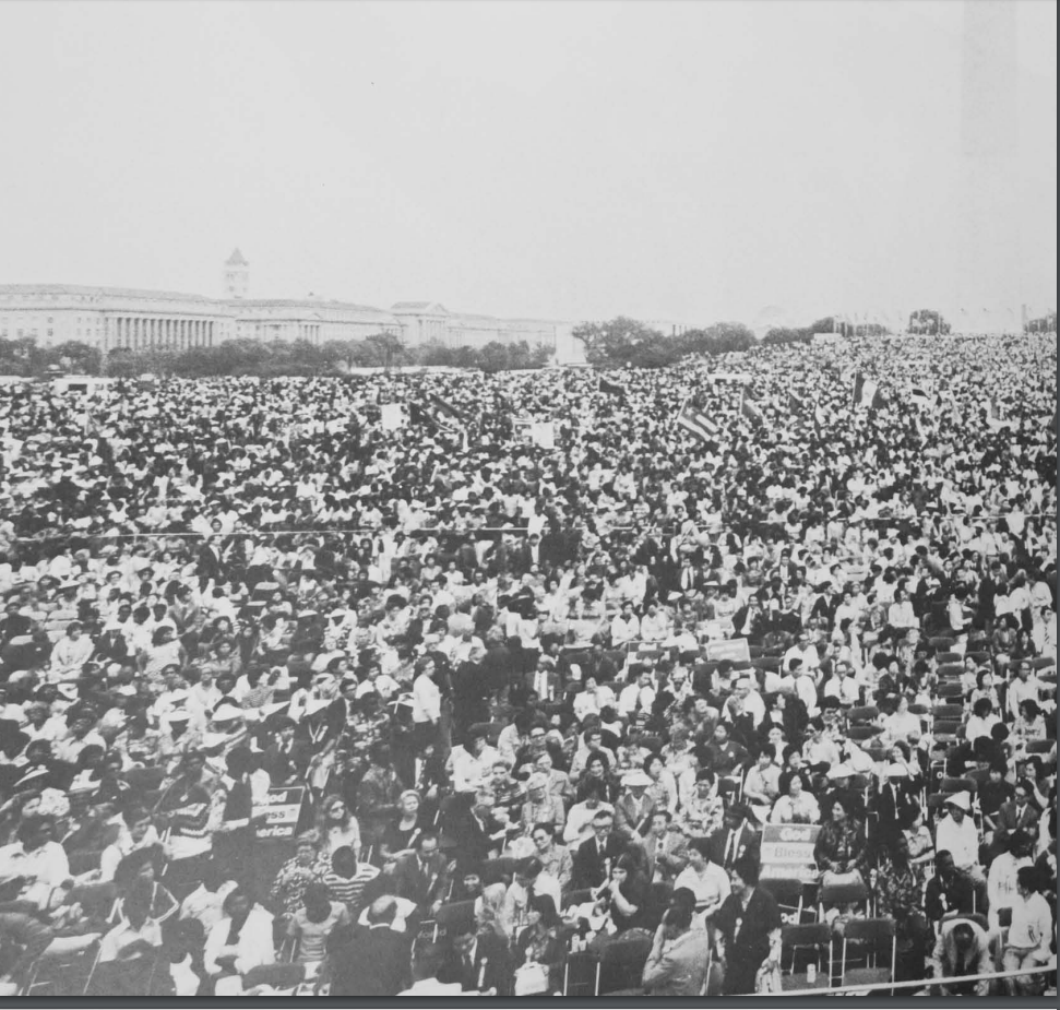 2 Portion of crowd.PNG