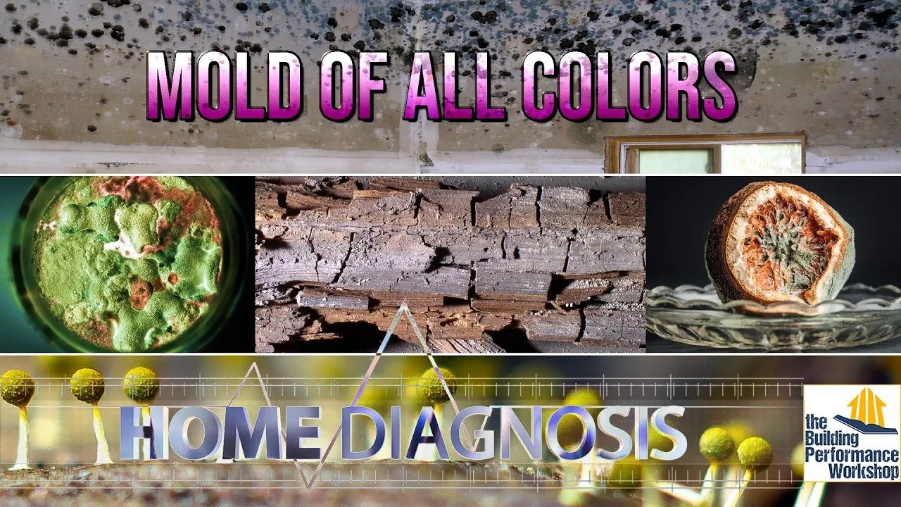 Ep309: Mold of All Colors- HOME DIAGNOSIS TV Series