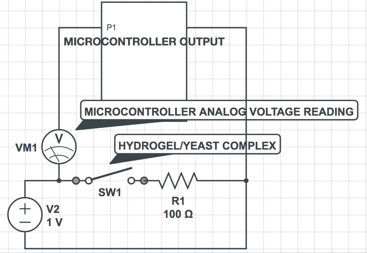 Circuit Mockup