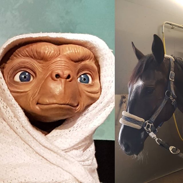 ET and ET 🤩