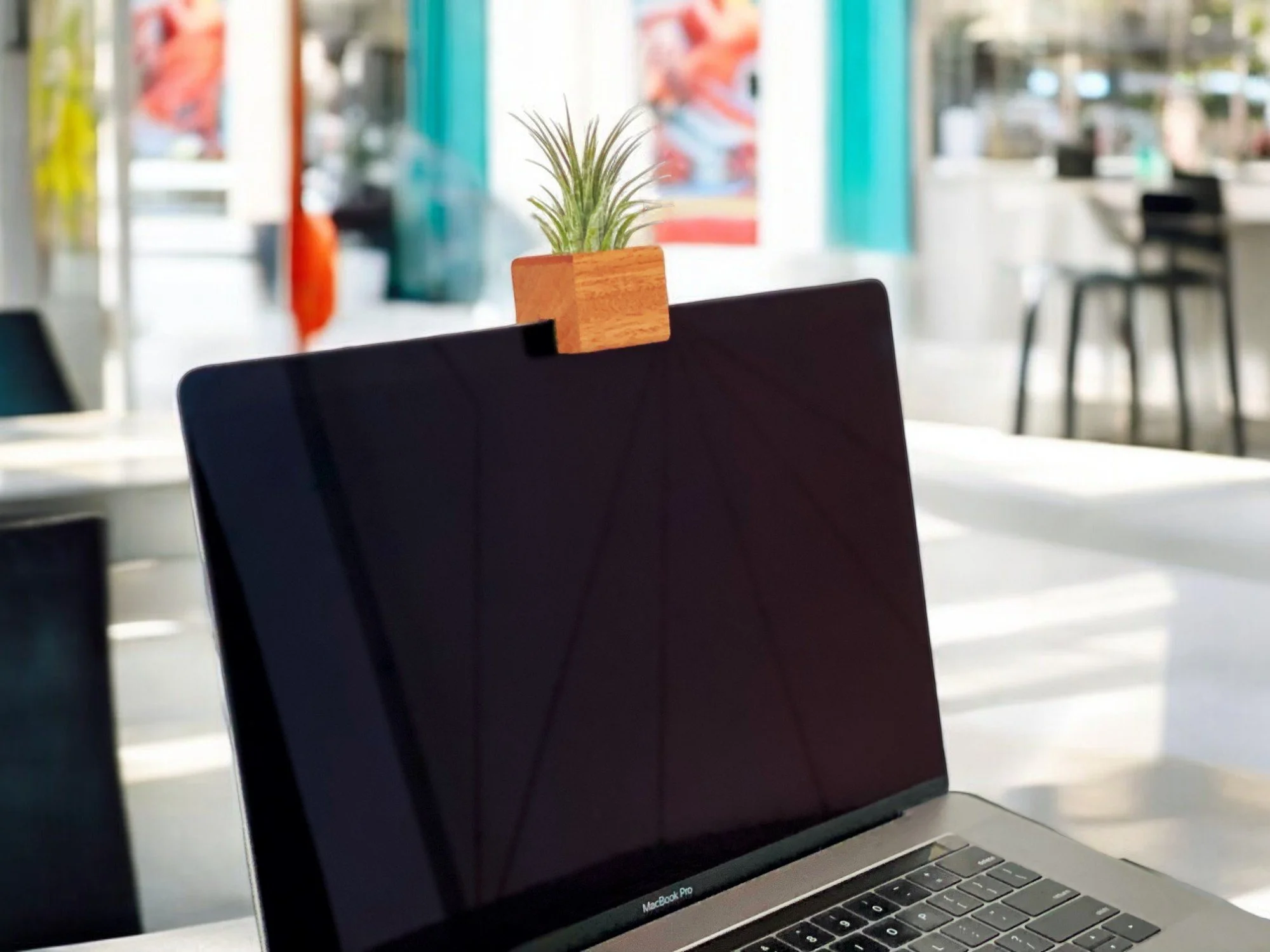 Privacy Planter v2.jpg