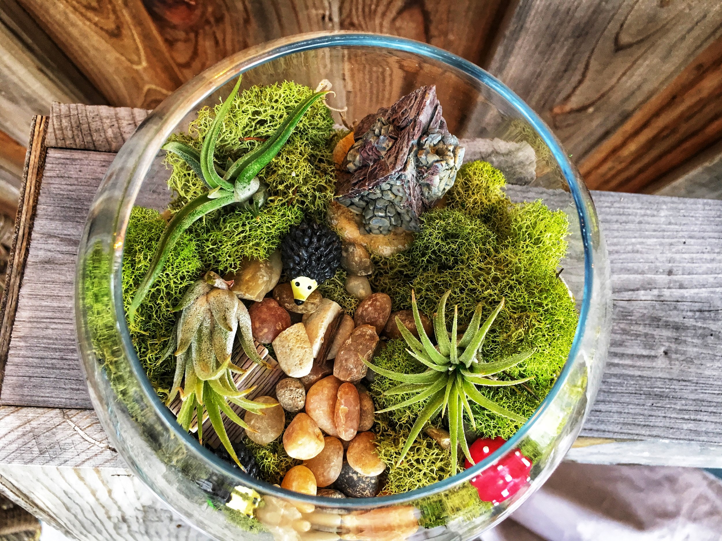 Fairy Garden Workshop