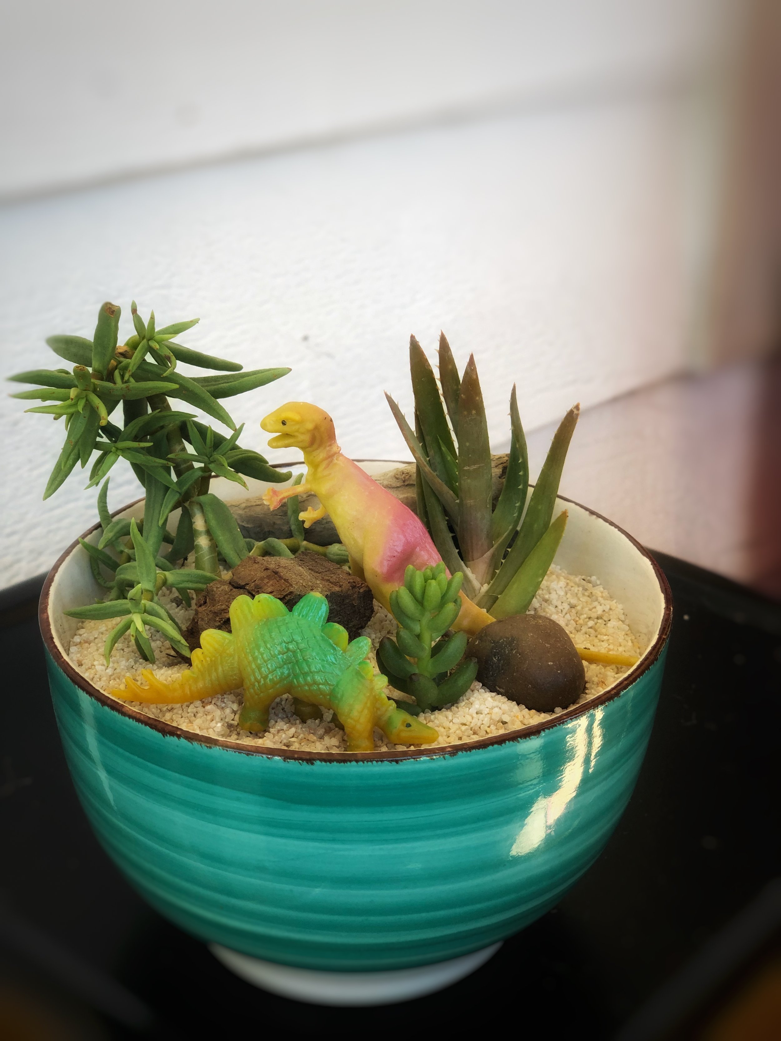 Dinosaur Succulent Planter