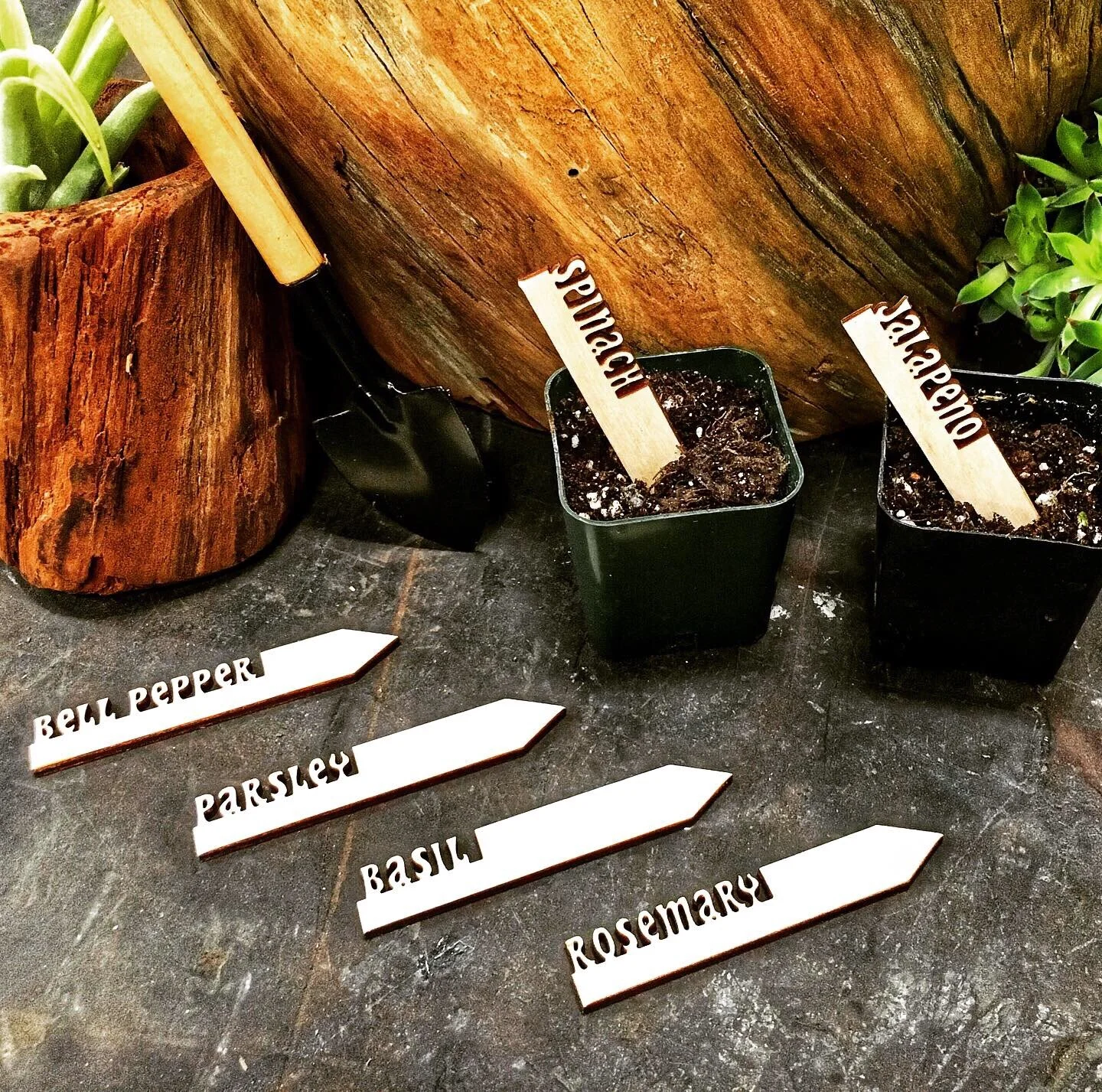 Garden Stakes
