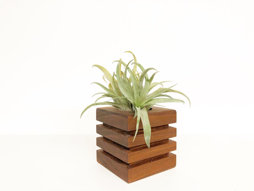 Grooved Wood Block Planter — The Little Shop of Horticulture