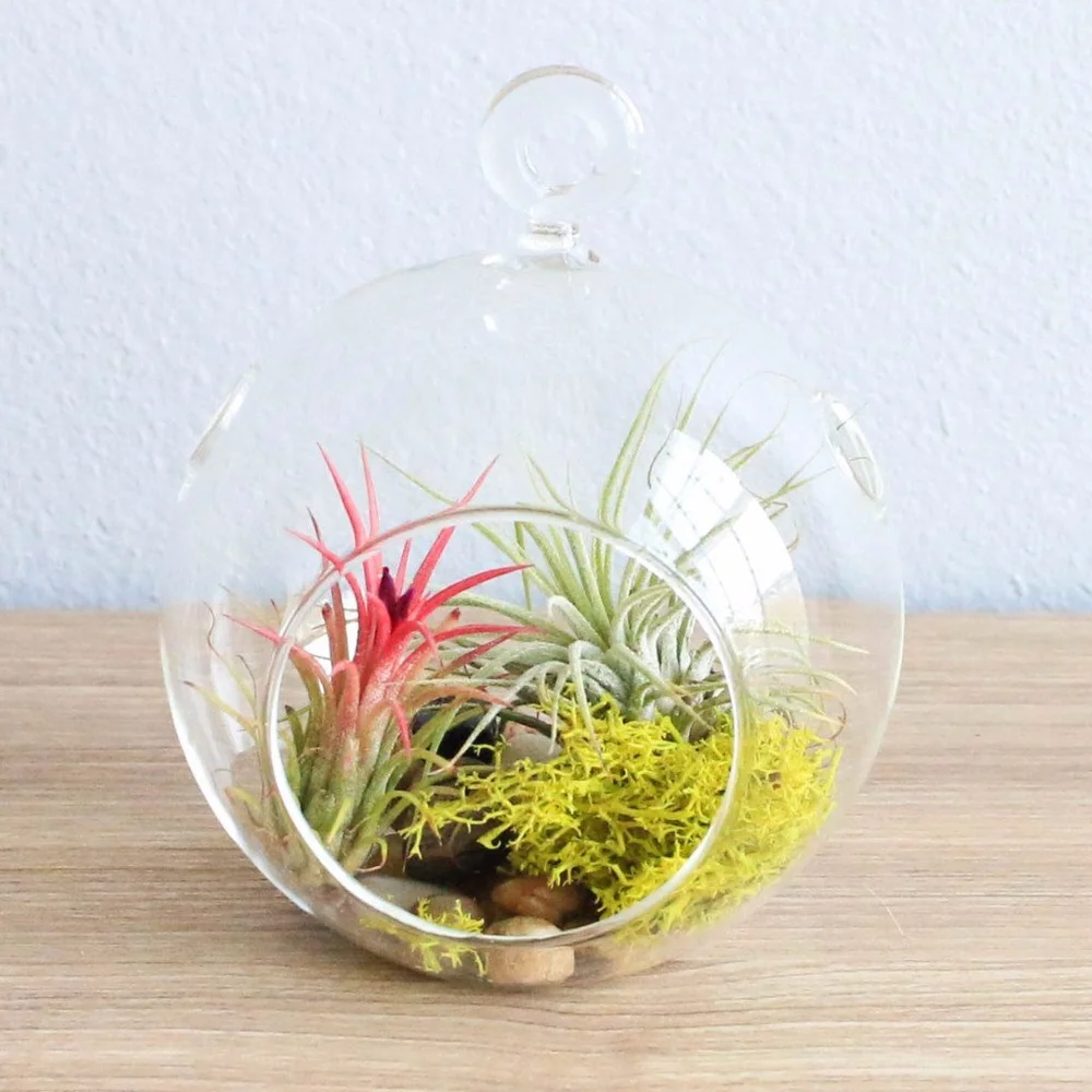 indoor hanging plant pot 10