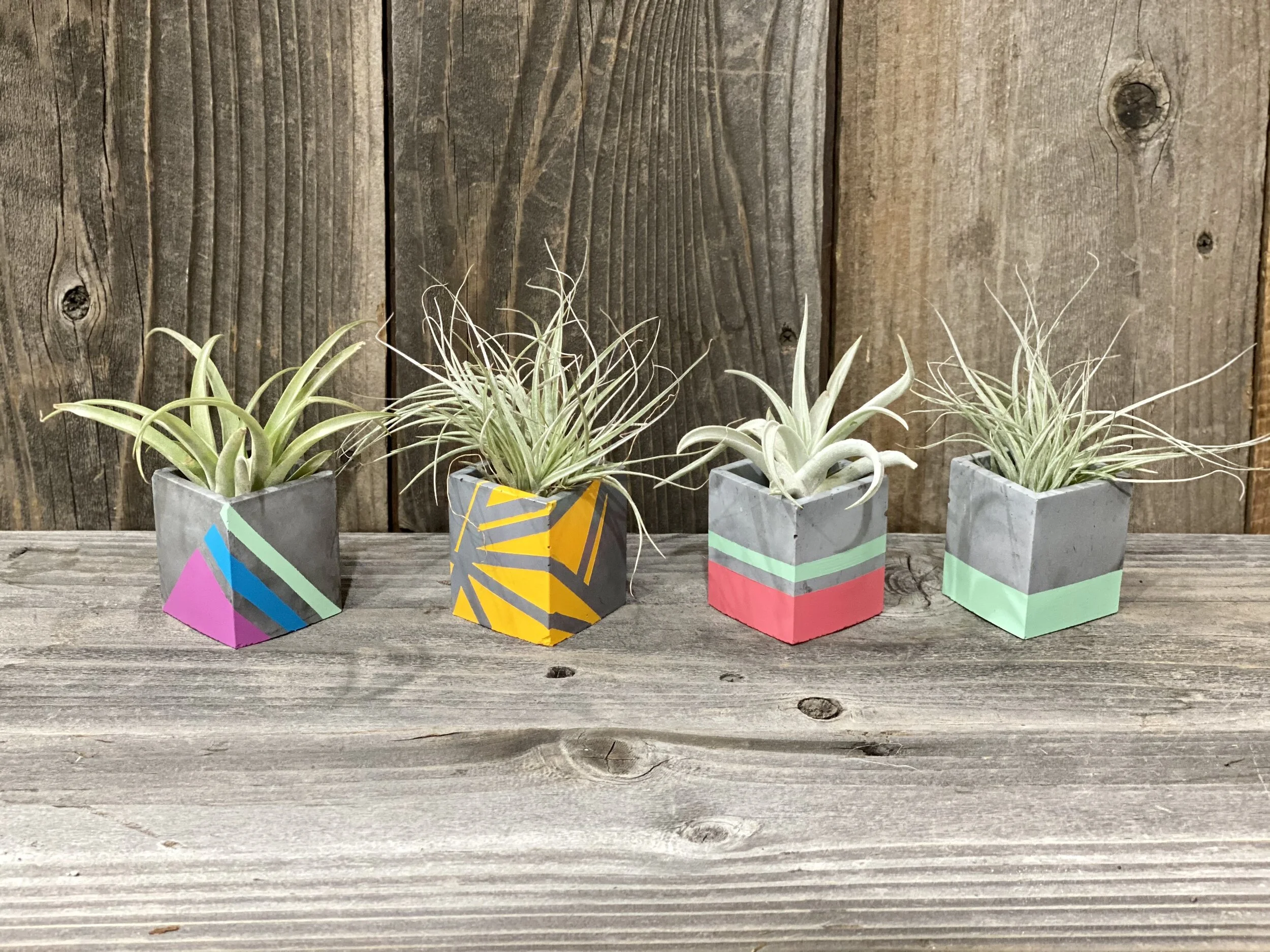 Home & Living Mini-Planters variety of colors & design Indoor Planters ...