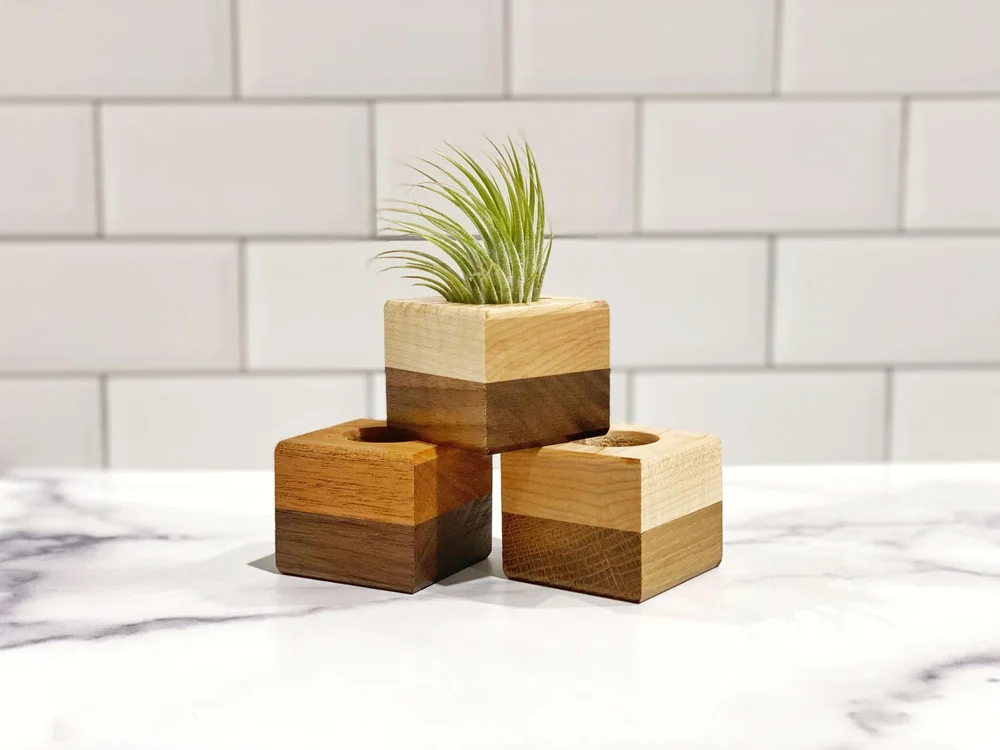 Two-Tone Wood Block Planter  The Little Shop of Horticulture