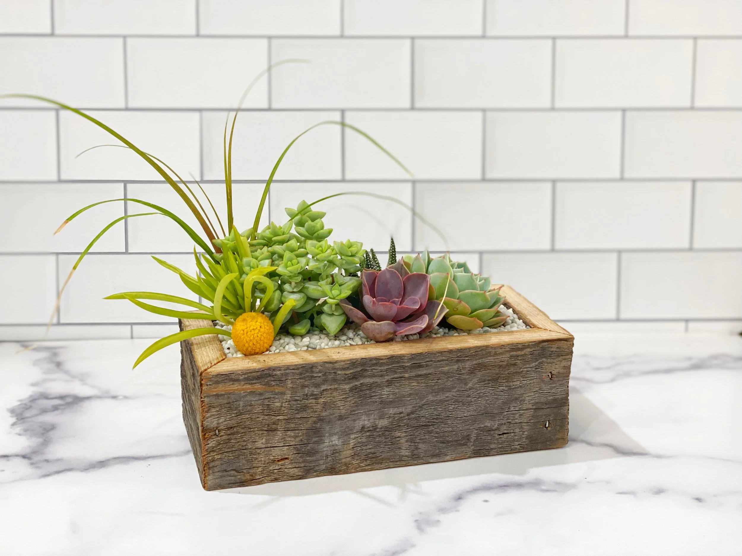 Medium-Planter.jpg