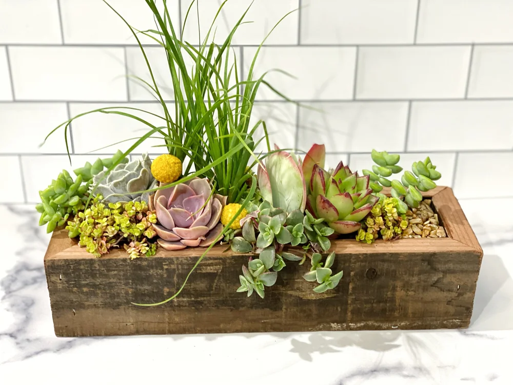 Reclaimed Wood Box Planter  The Little Shop of Horticulture