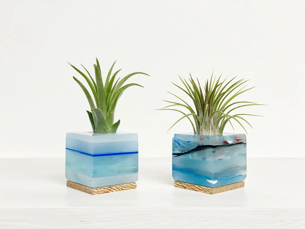 Upcycled Surfboard Resin Planter  The Little Shop of Horticulture