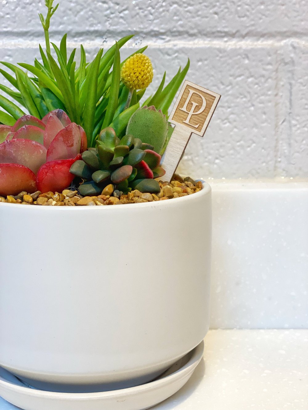 indoor house plant food Houseplant Fertilizer | Plant Food