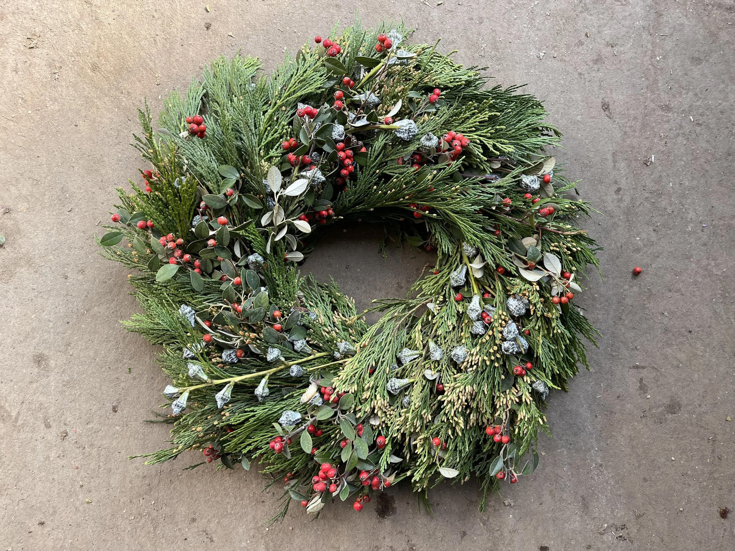 Cedar Incense, Cotoneaster, Pods Silver Bells (2).JPG